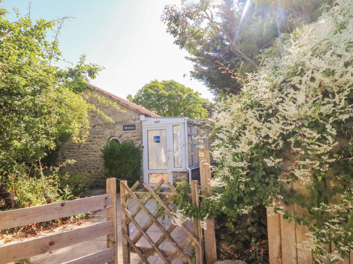 Mimosa Cottage Swyre Exterior foto